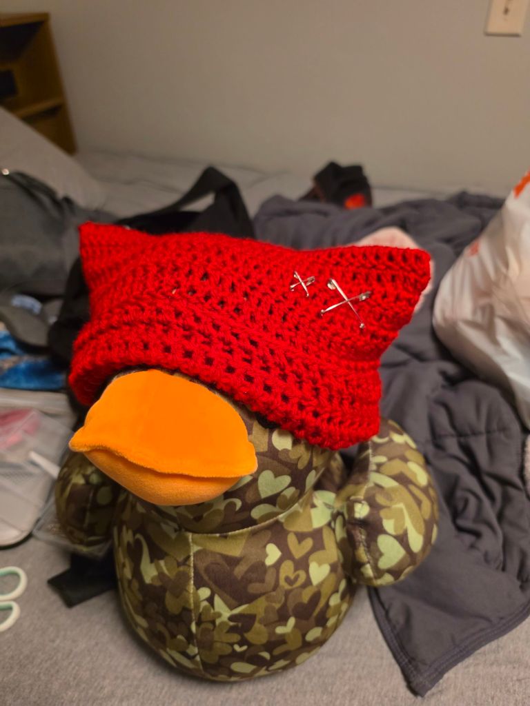 Green duck wearing red, crochet cat beanie with safety pins